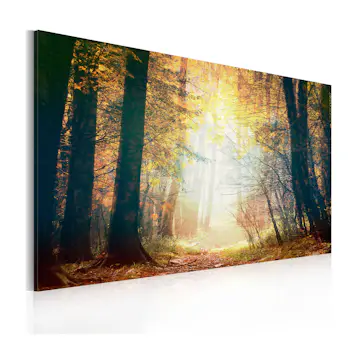 Tavla Arkiio Skönheten I Höst