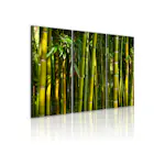 Tavla Arkiio Green Bamboo 60x40
