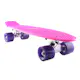 Skateboard Sandbar Cruiser