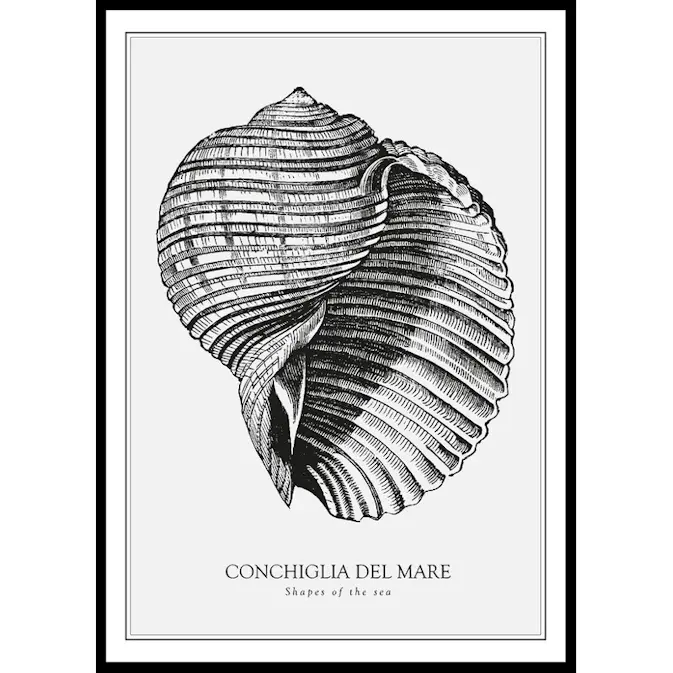 Poster Gallerix Conchiglia Del Mare