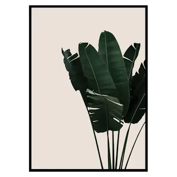 Poster Gallerix Banana Leaves Natural