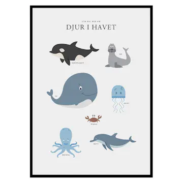 Poster Gallerix Djur I Havet