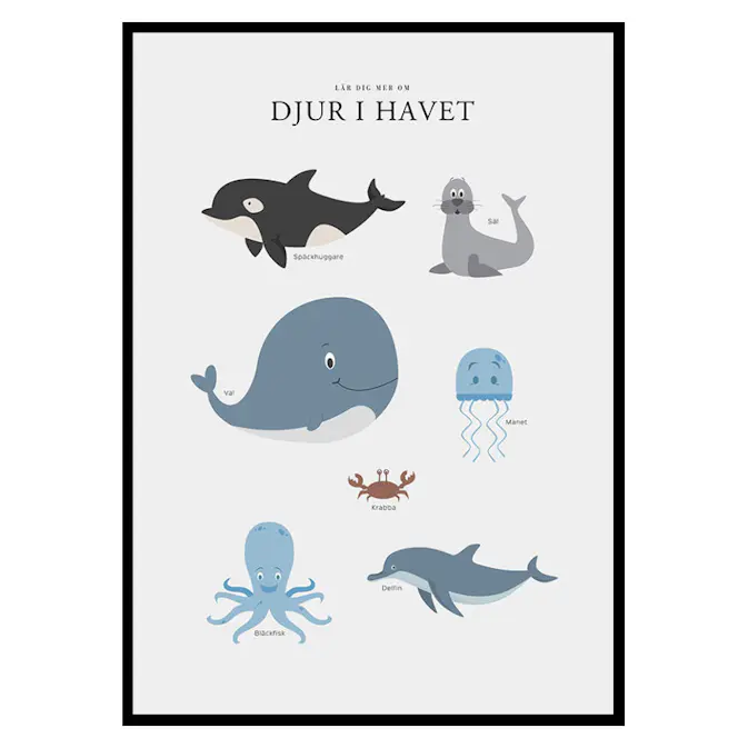Poster Gallerix Djur I Havet