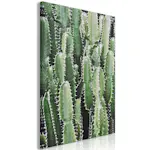 Tavla Arkiio Cactus Garden