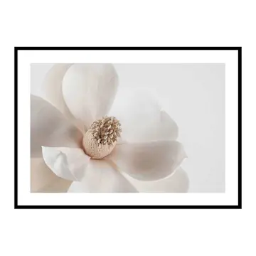 Poster Gallerix Beige Magnolia No1