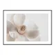 Poster Gallerix Beige Magnolia No1