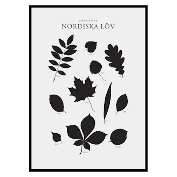 Poster Gallerix Nordiska Löv