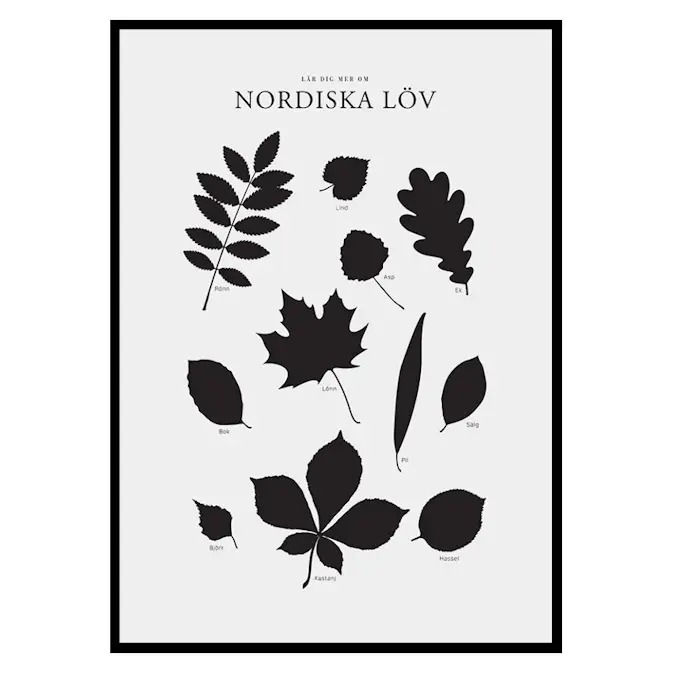 Poster Gallerix Nordiska Löv
