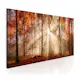 Tavla Arkiio Autumnal Dawn