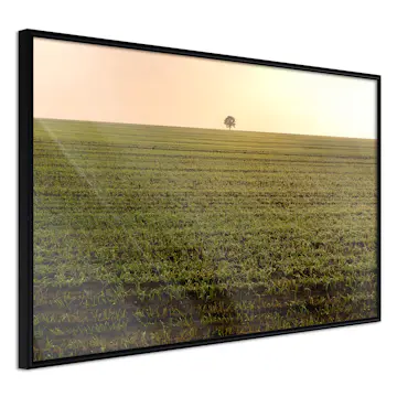 Poster Artgeist Affisch Autumn Morning