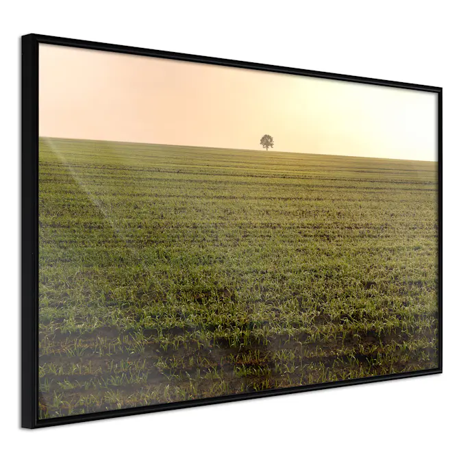 Poster Artgeist Affisch Autumn Morning