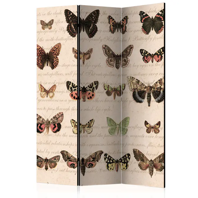 Rumsavdelare Skärmvägg Arkiio Retro Style: Butterflies 135x172 cm
