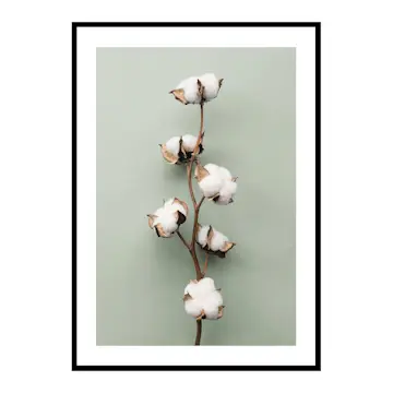 Poster Gallerix Cotton On Green