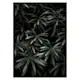 Poster Gallerix Dark Green No1