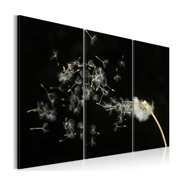 Tavla Arkiio Dandelions The Transience