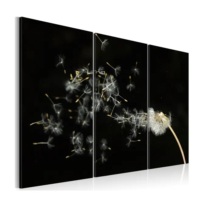 Tavla Arkiio Dandelions The Transience