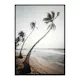 Poster Gallerix Beach Palm Trees