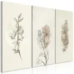 Tavla Arkiio Herbarium