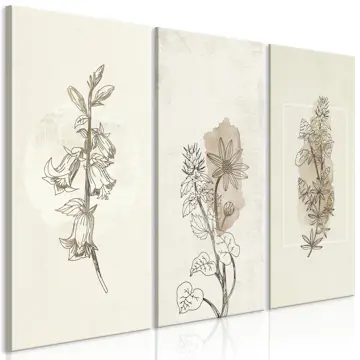 Tavla Arkiio Herbarium