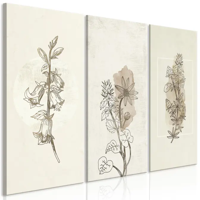 Tavla Arkiio Herbarium