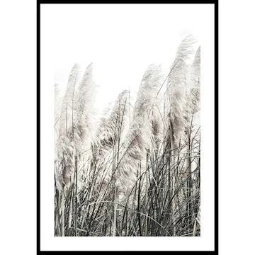 Poster Gallerix Wild Grass Tall