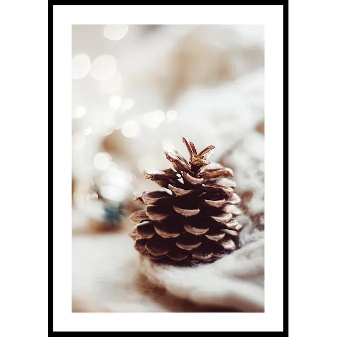 Poster Gallerix Fir Cone