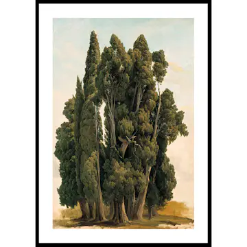 Poster Gallerix Villa d'Este By Gustaf Wilhelm Palm