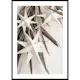 Poster Gallerix Paper Stars