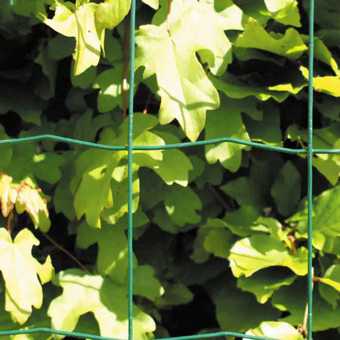 Stängsel Hortus 50x100 mm 10 m