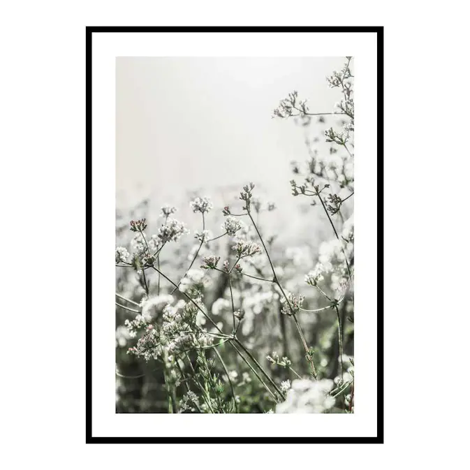 Poster Gallerix White Flowers In Spring
