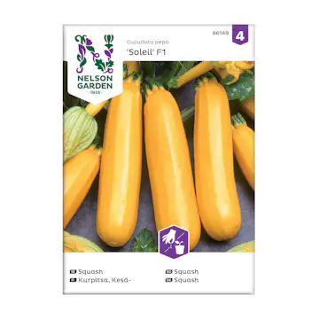 Frö Squash Nelson Garden Soleil F1