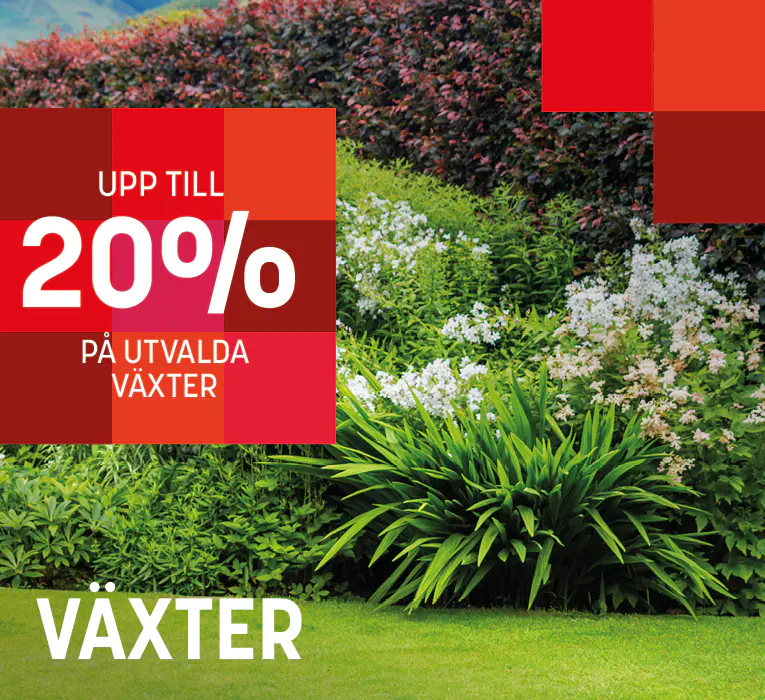 2604varyra-vaxter.png