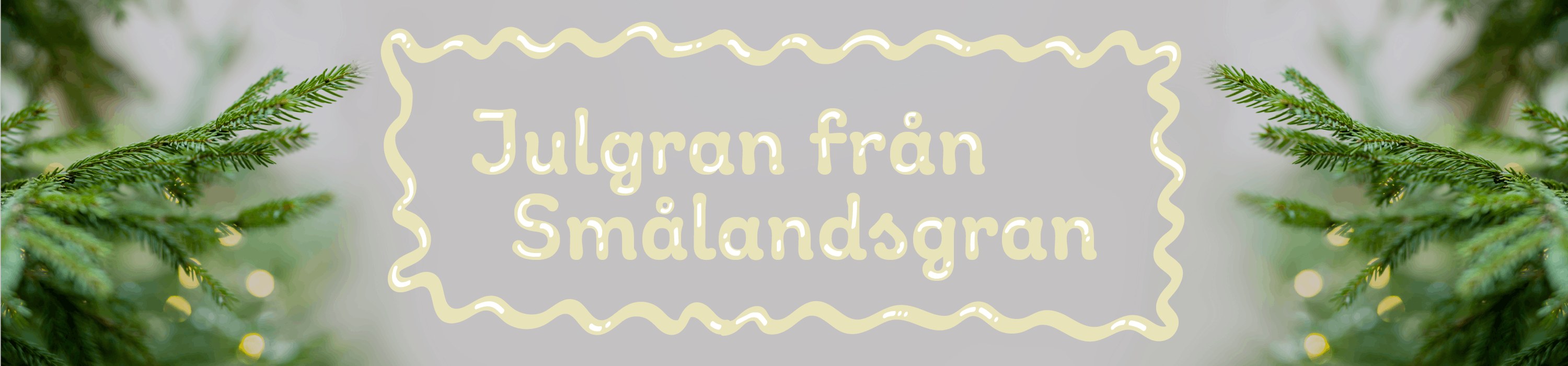 ny21-box-smålandsgran700px.png