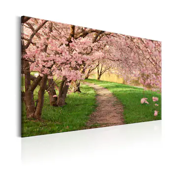 Tavla Arkiio Lovers Path