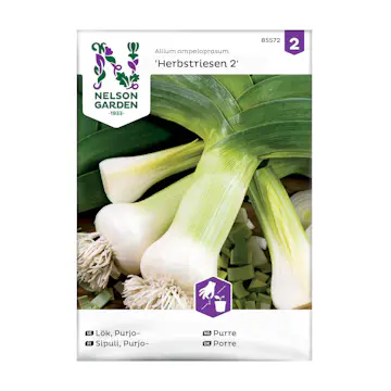 Frö Purjolök Nelson Garden Herbstriesen 2 Höst