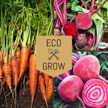 Grönsaksfröer Eco Grow Rotfruktskit Favoriter för Odling 3-pack
