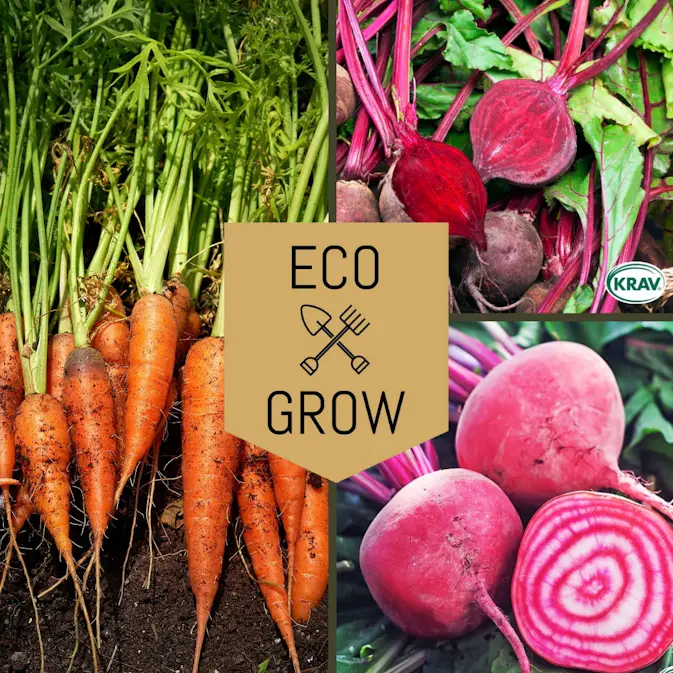 Grönsaksfröer Eco Grow Rotfruktskit Favoriter för Odling 3-pack