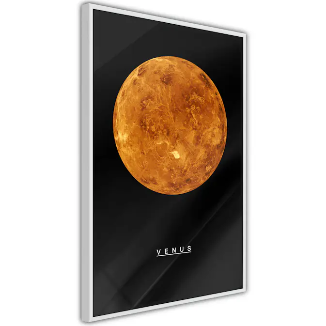 Poster Artgeist Affisch Venus