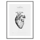 Poster Gallerix Hjärtat
