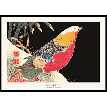 Poster Gallerix Golden Pheasant In The Snow By Ito Jakuchu