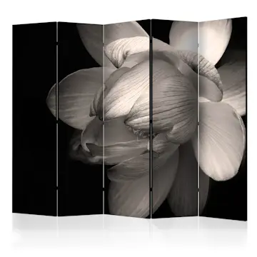 Rumsavdelare Skärmvägg Arkiio Lotus Flower II 225x172 cm