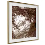 Poster Artgeist Affisch Freedom