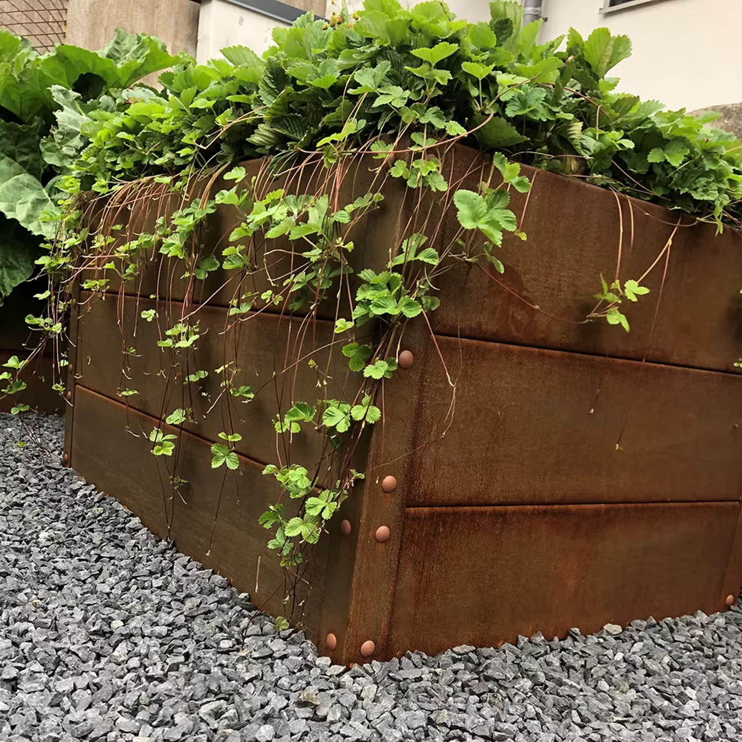 Bygga odlingslådor - Odlingslåda Flexigarden Cortenplåt