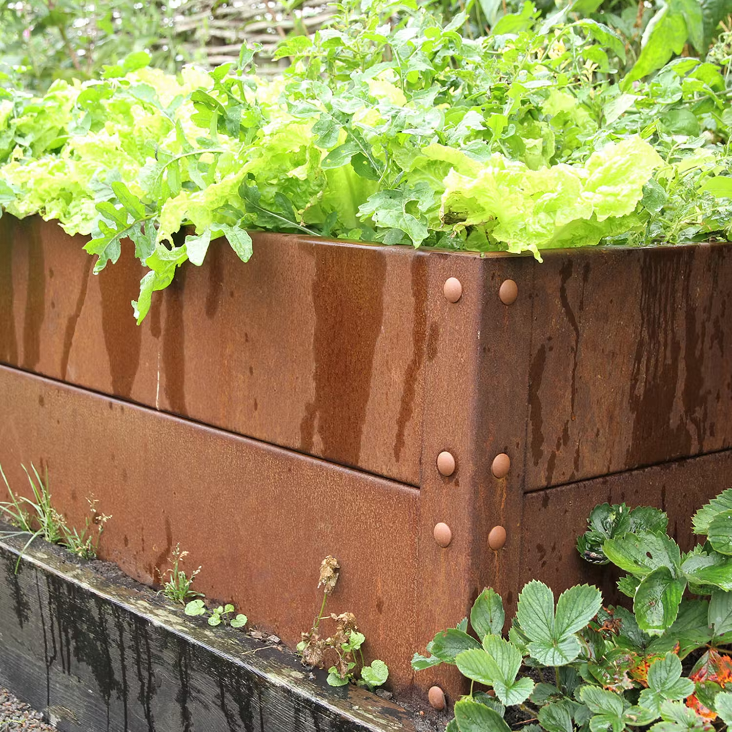 Cortenplåt i trädgård