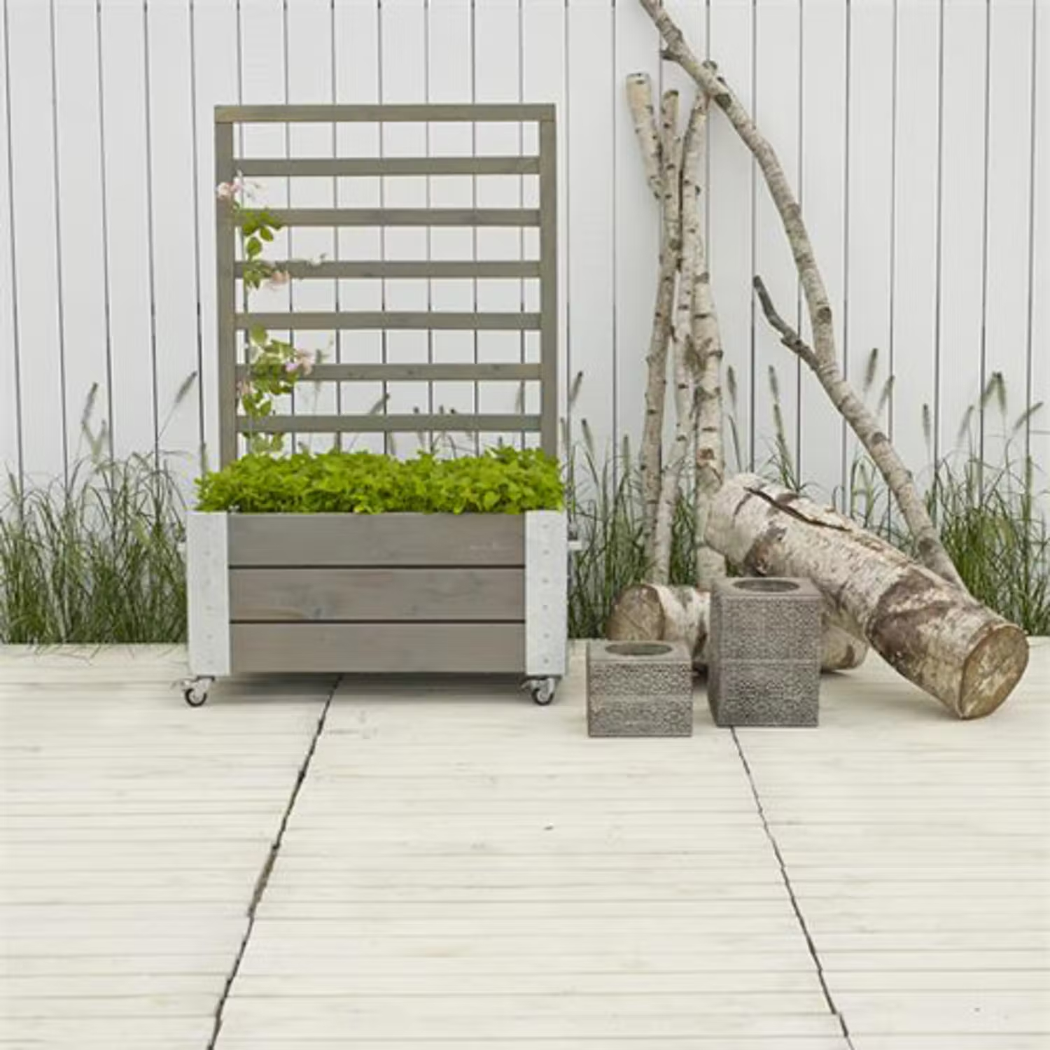 Blomlåda med spaljé