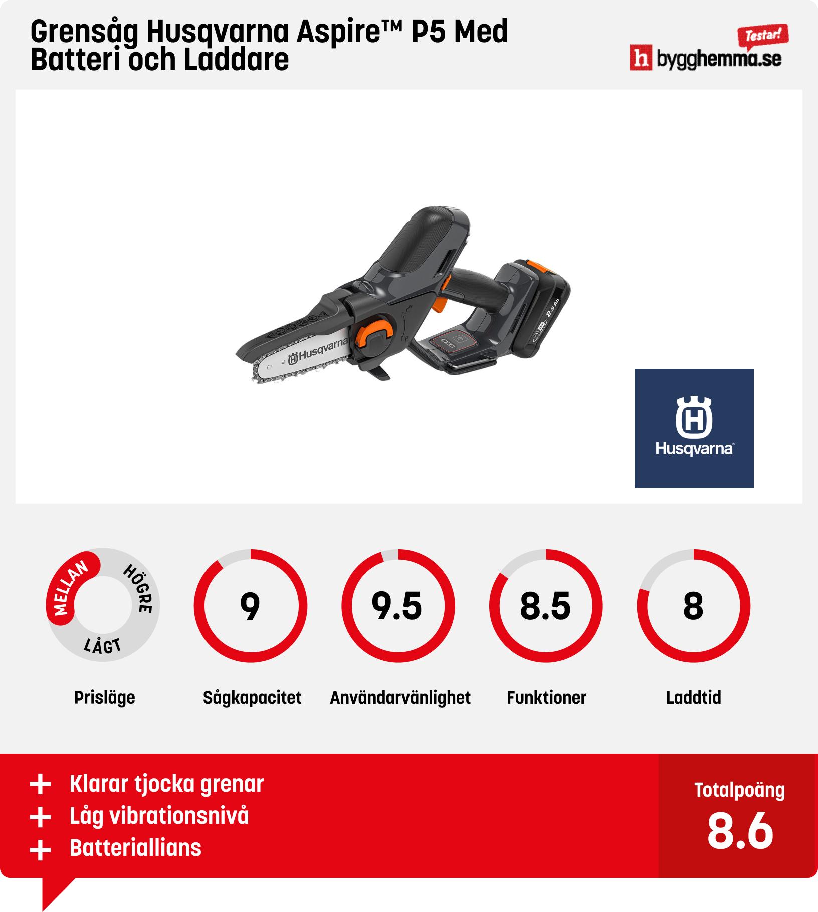 Elektrisk grensåg bäst i test