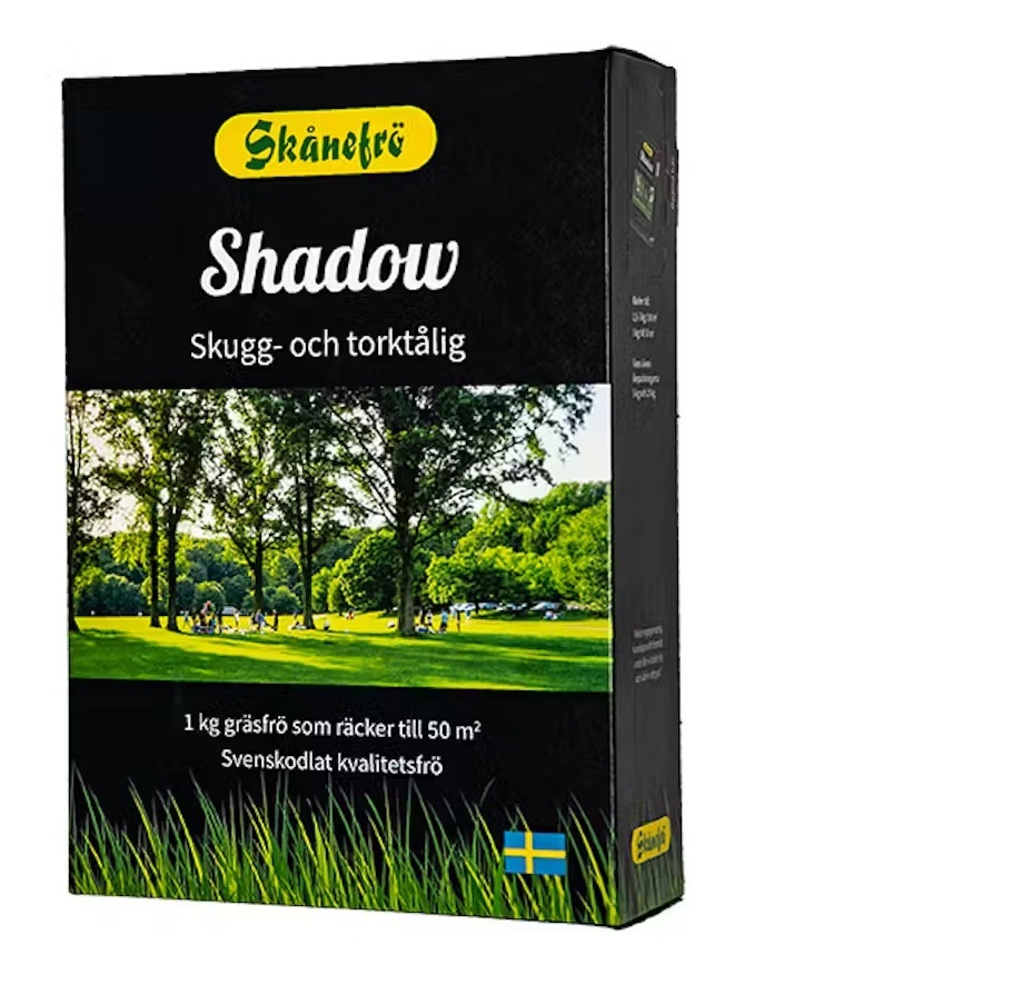 Grässorter för gräsmatta