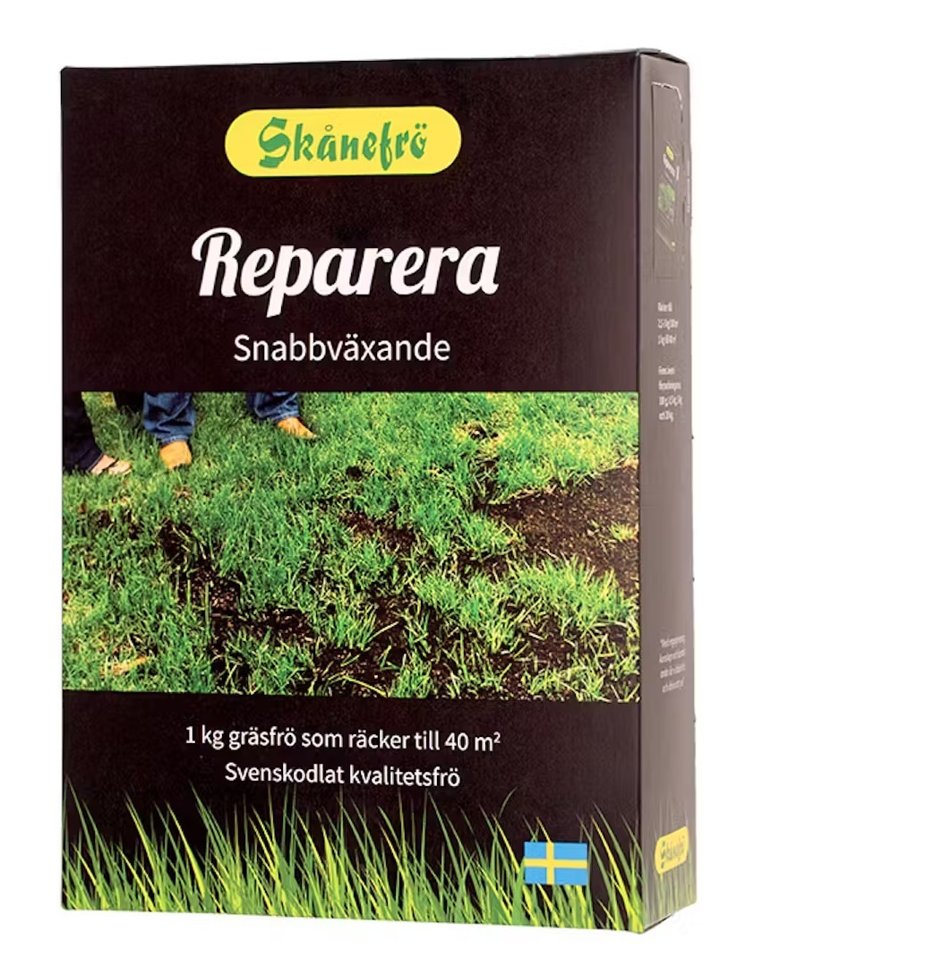 Grässorter för gräsmatta