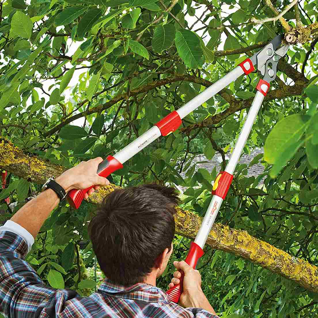 Beskära krusbär - Grensax WOLF-Garten RS 900 T Power Cut