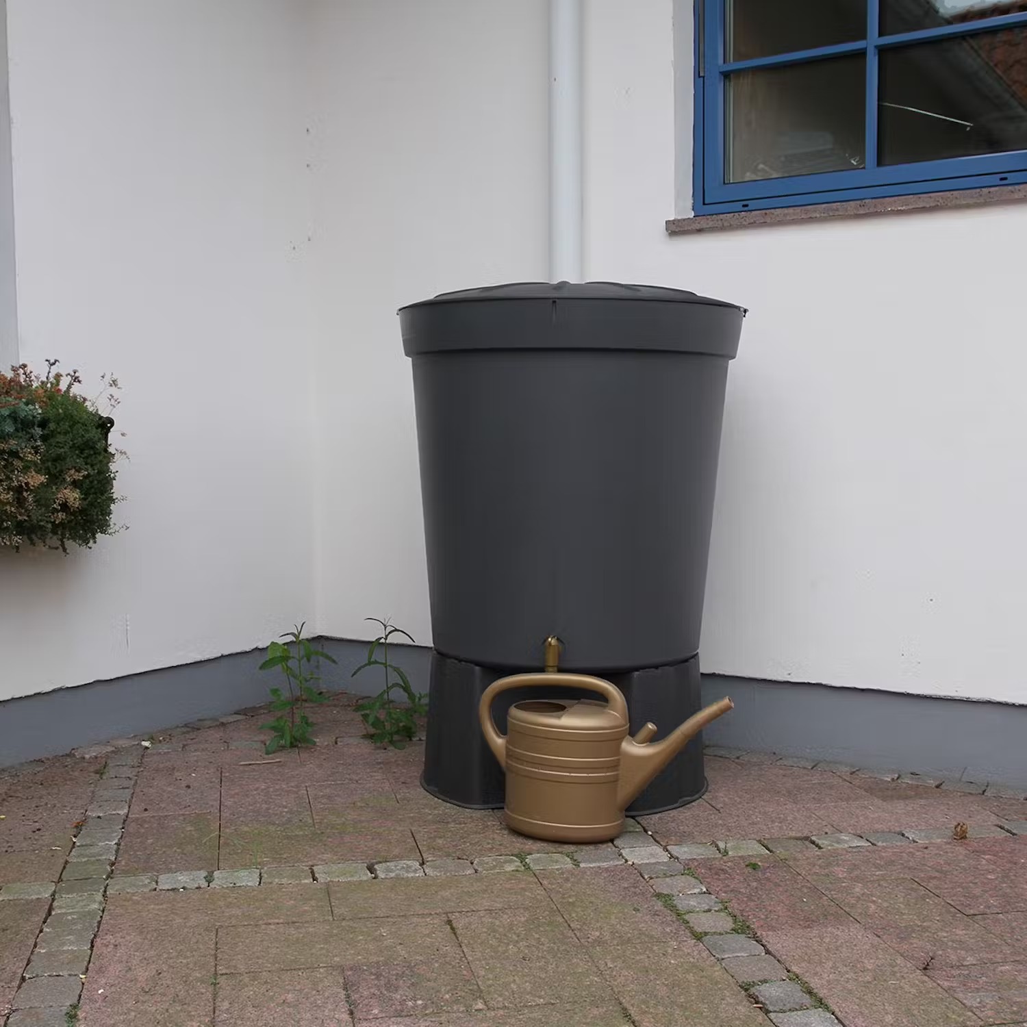 Samla regnvatten från stuprör